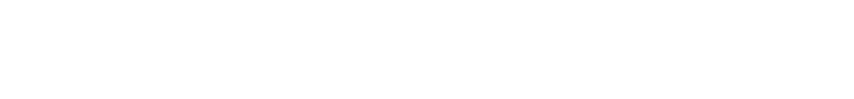 Vice Partners AG
